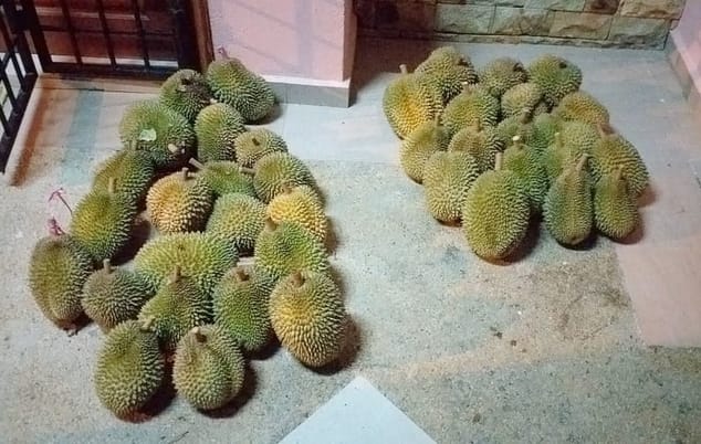 buah durian